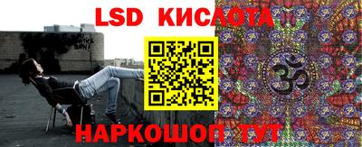 прущие грибы Можга