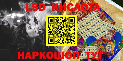 прущие грибы Можга