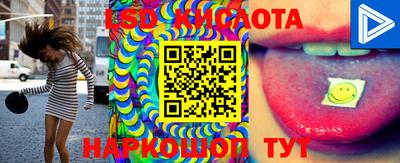 прущие грибы Можга