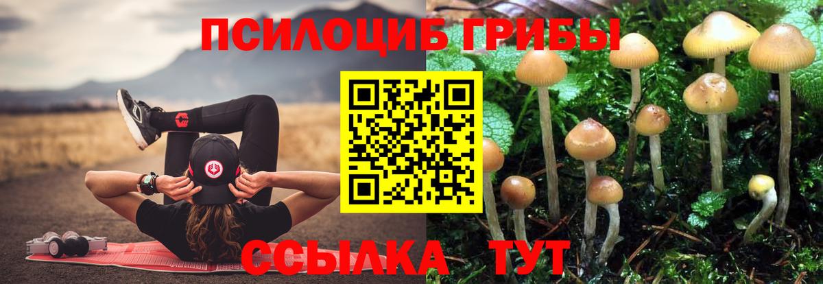 Галлюциногенные грибы ЛСД Боровичи